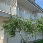 RIMINI – AGENTE: PAOLO BENZI 348.7309540