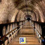 Alpacom Workshop Tour VERONA