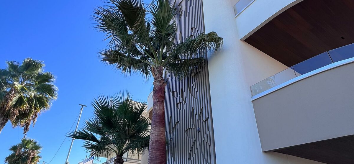 ALBA ADRIATICA (TE) – AGENTE: ZAMPERETTI SEBASTIANO 389.1555570