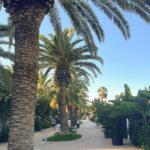 ALBA ADRIATICA (TE) – AGENTE: ZAMPERETTI SEBASTIANO 389.1555570