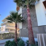 ALBA ADRIATICA (TE) – AGENTE: ZAMPERETTI SEBASTIANO 389.1555570